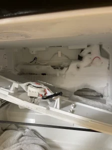 Appliance Repair in St John’s, FL